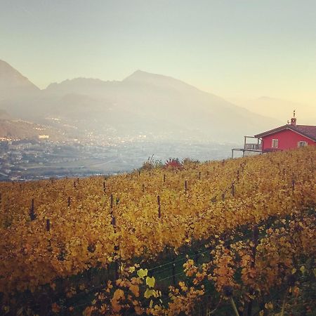 Agritur Maso Spezial Villa Villa Lagarina Eksteriør billede