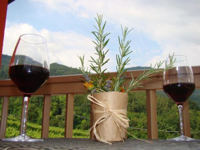 Agritur Maso Spezial Villa Villa Lagarina Eksteriør billede