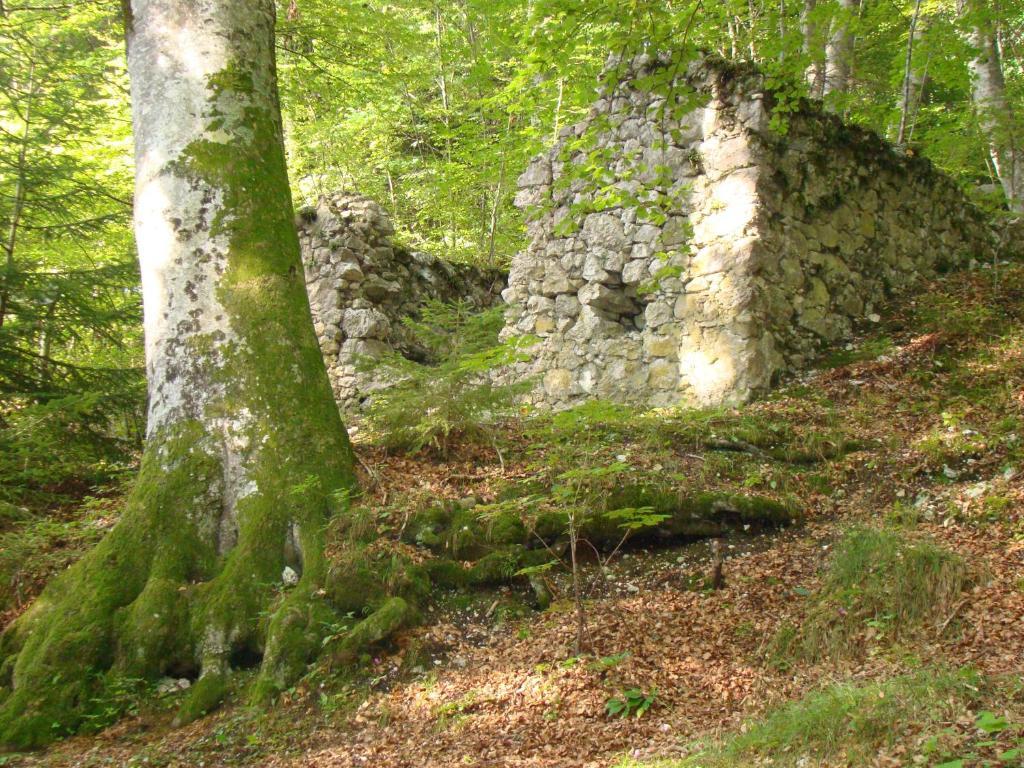 Agritur Maso Spezial Villa Villa Lagarina Eksteriør billede