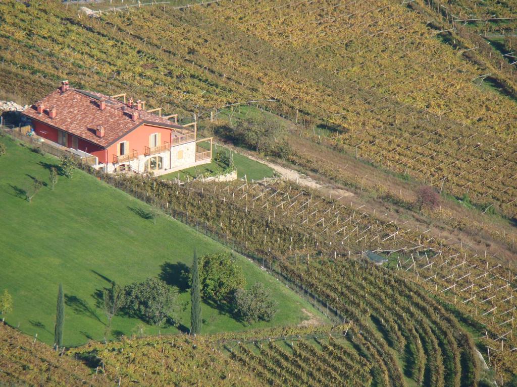 Agritur Maso Spezial Villa Villa Lagarina Eksteriør billede