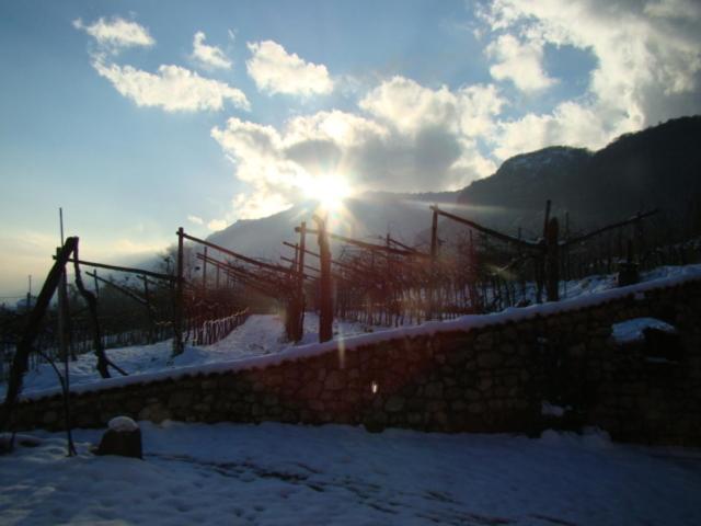 Agritur Maso Spezial Villa Villa Lagarina Eksteriør billede