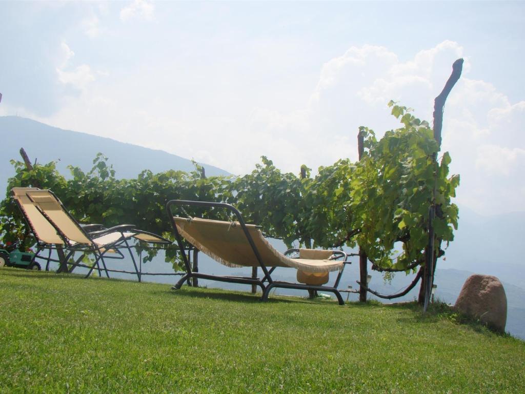 Agritur Maso Spezial Villa Villa Lagarina Eksteriør billede