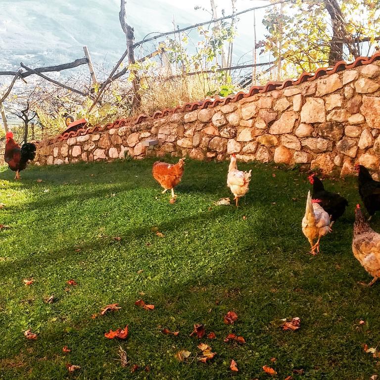 Agritur Maso Spezial Villa Villa Lagarina Eksteriør billede