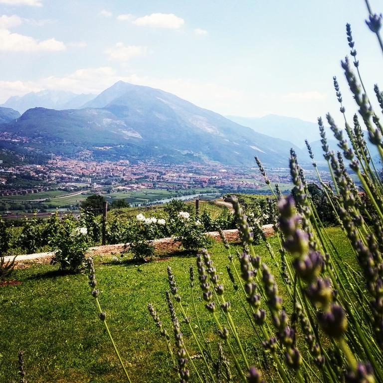 Agritur Maso Spezial Villa Villa Lagarina Eksteriør billede